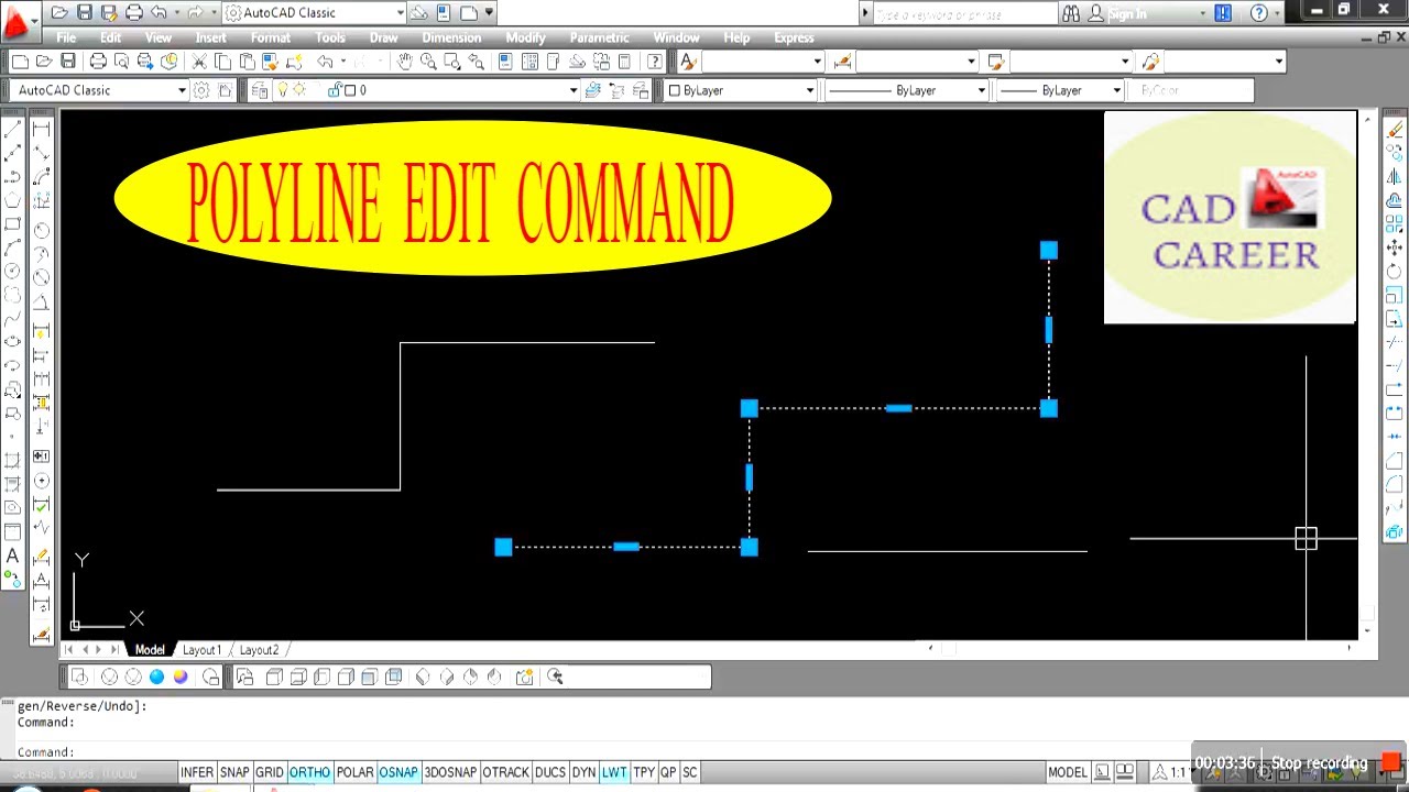 Polyline Command In Autocad